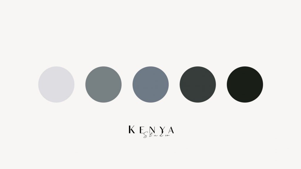 paleta de colores